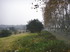 382-15.jpg