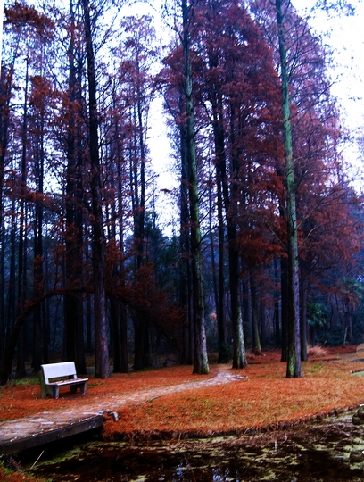 dscn2892@#.jpg