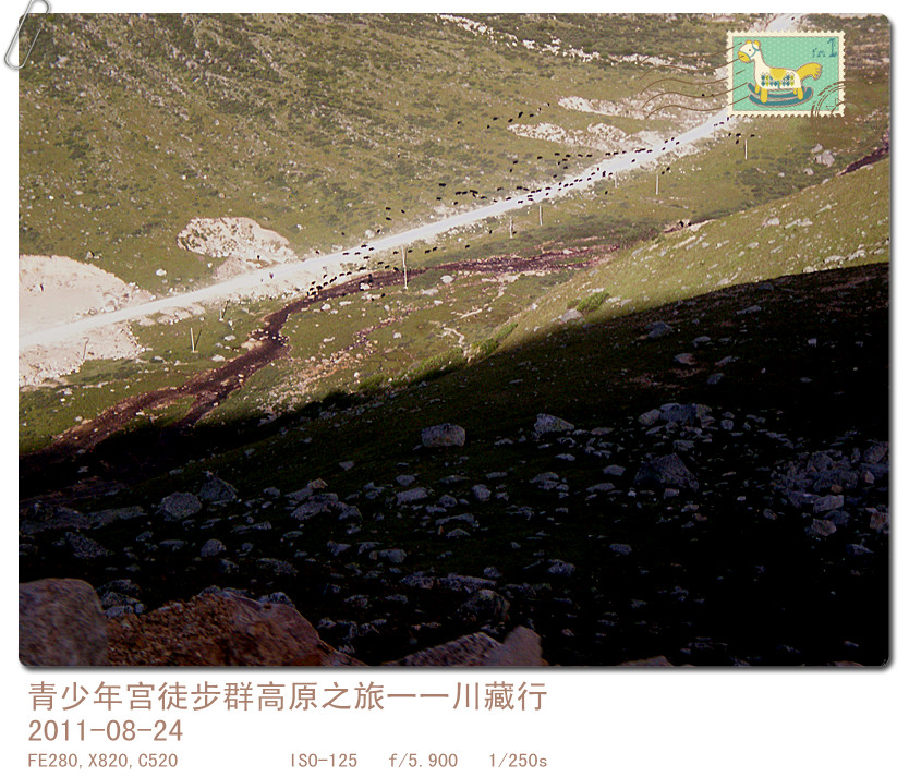p8241028_.jpg