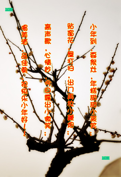 2012117013741320.jpg