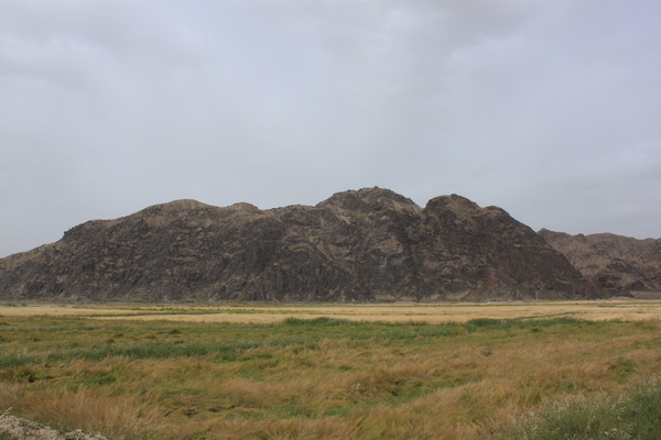 2011825916λ֮- 1039.jpg