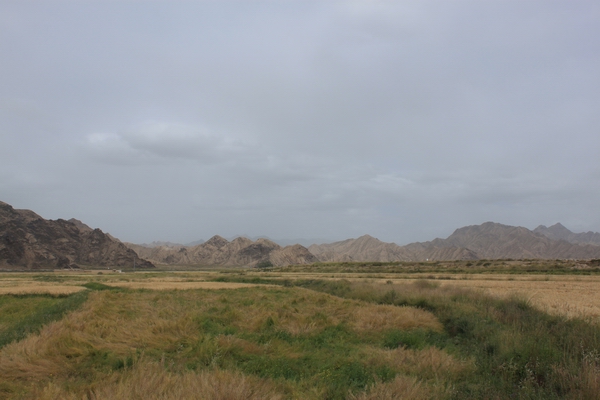 2011825916λ֮- 1041.jpg