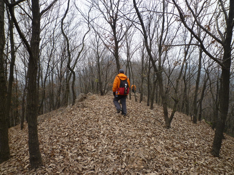 p1020823.jpg