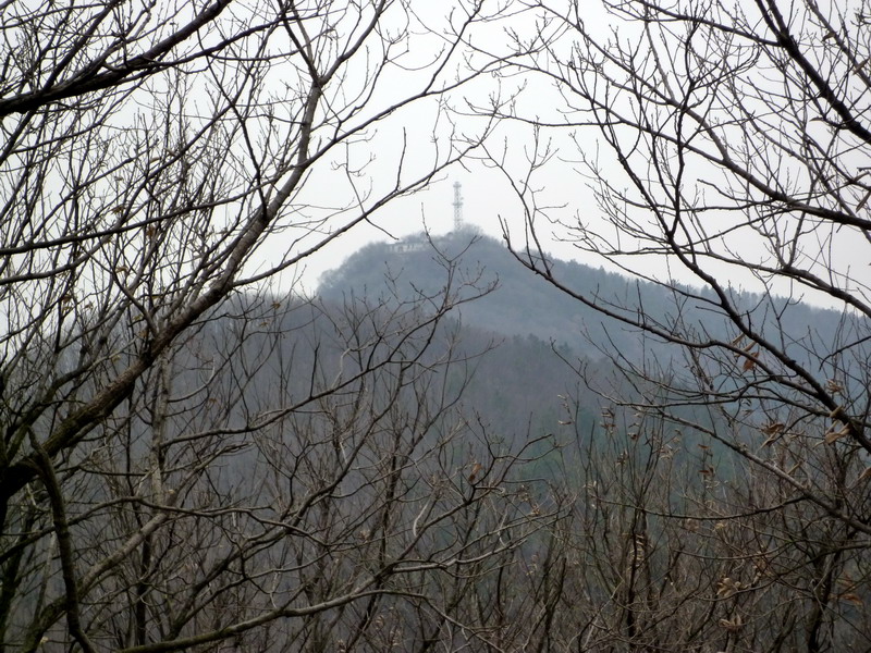 p1020827.jpg