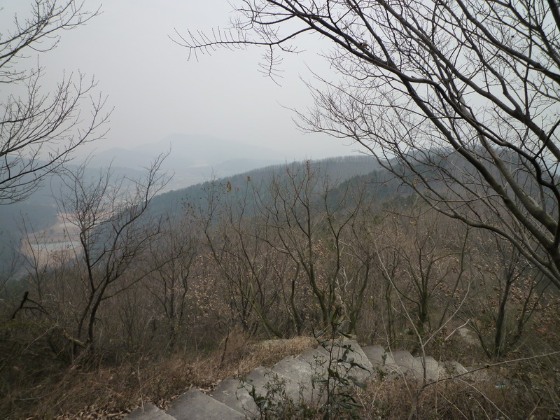 p1020838.jpg