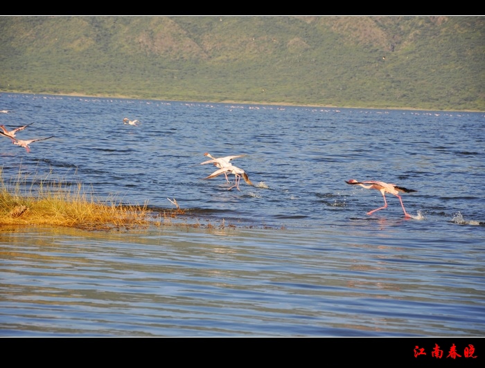 neo_img_貨΢dsc_0214.jpg