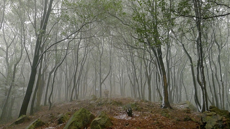 p1040073a.jpg