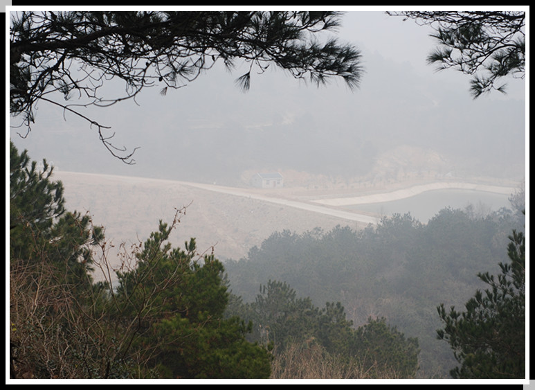 dsc_0161_.jpg