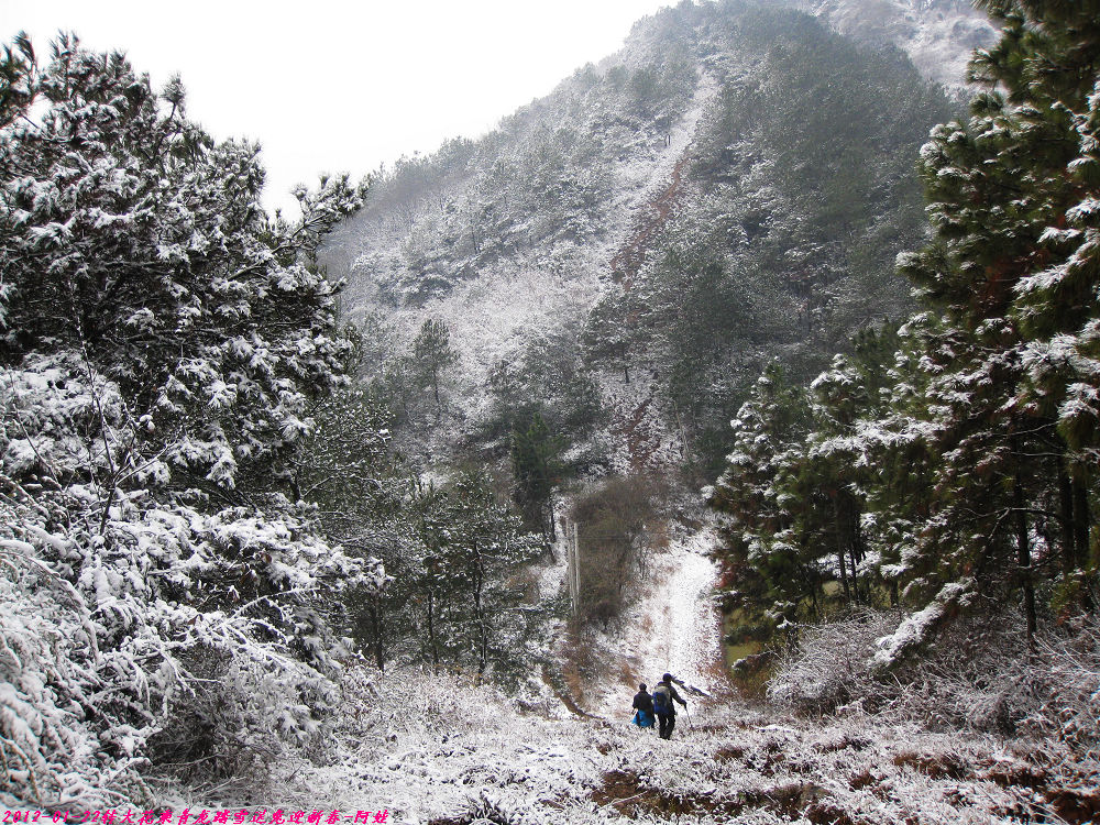2012 116.jpg