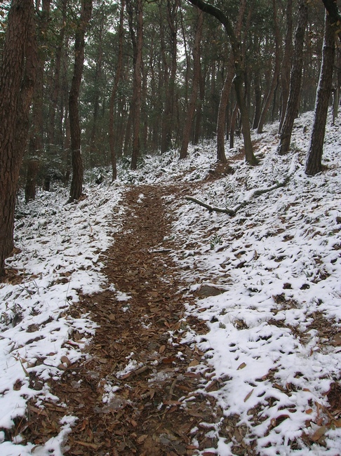 dscn4519.jpg