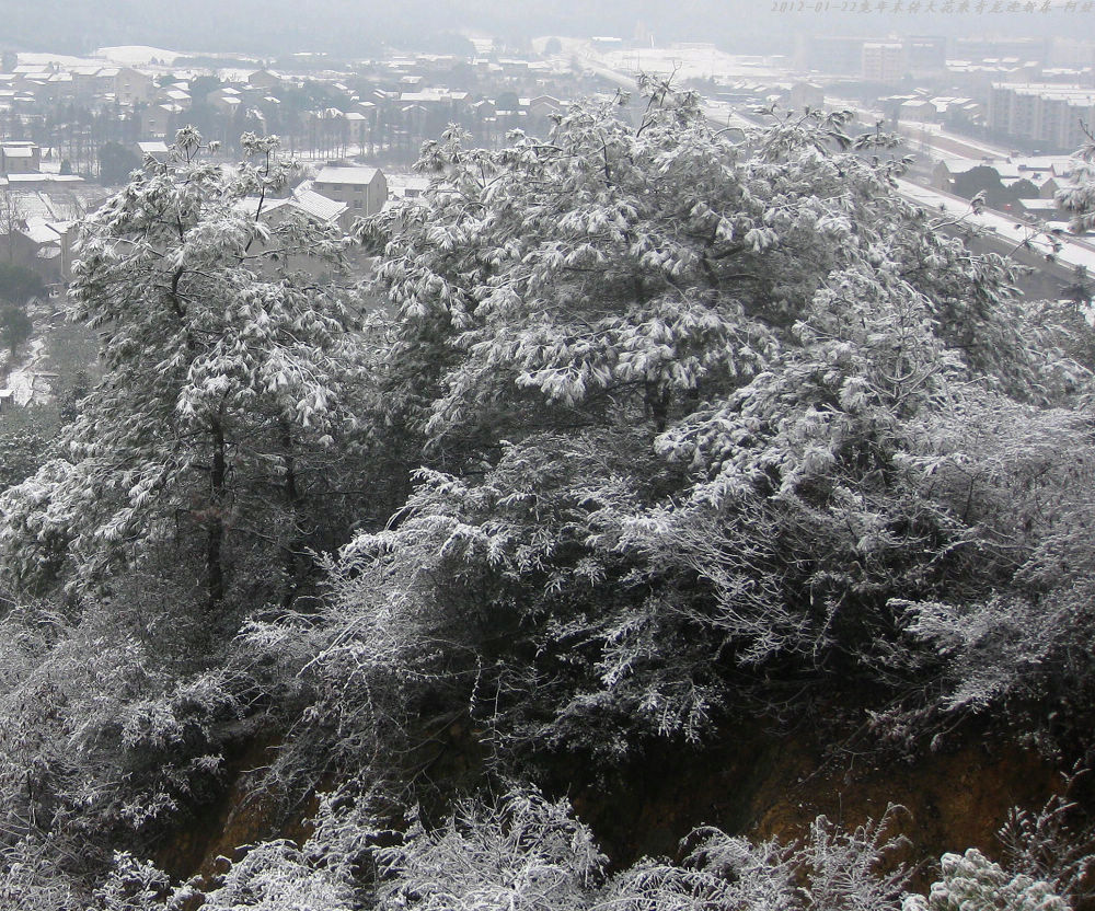 2012 024--.jpg