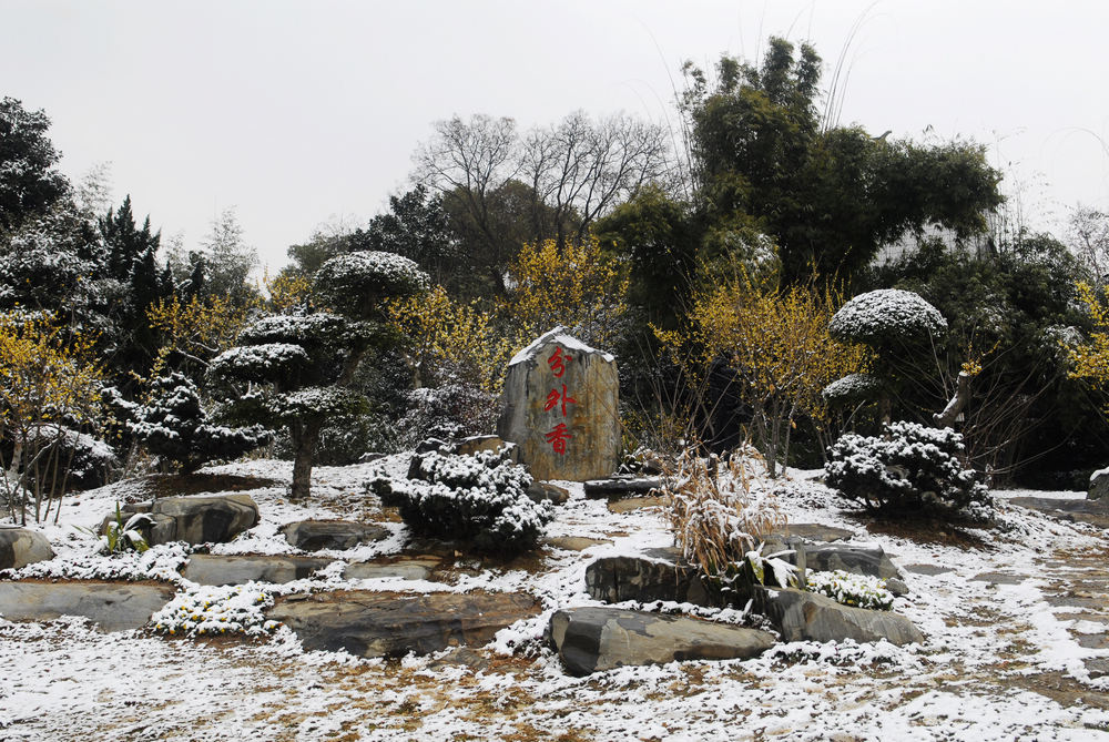 _dsc8618.jpg