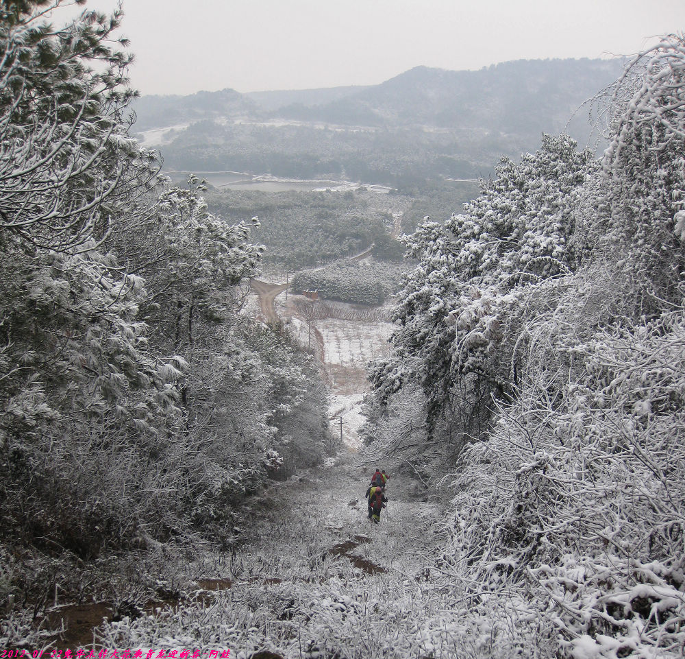 2012 037.jpg