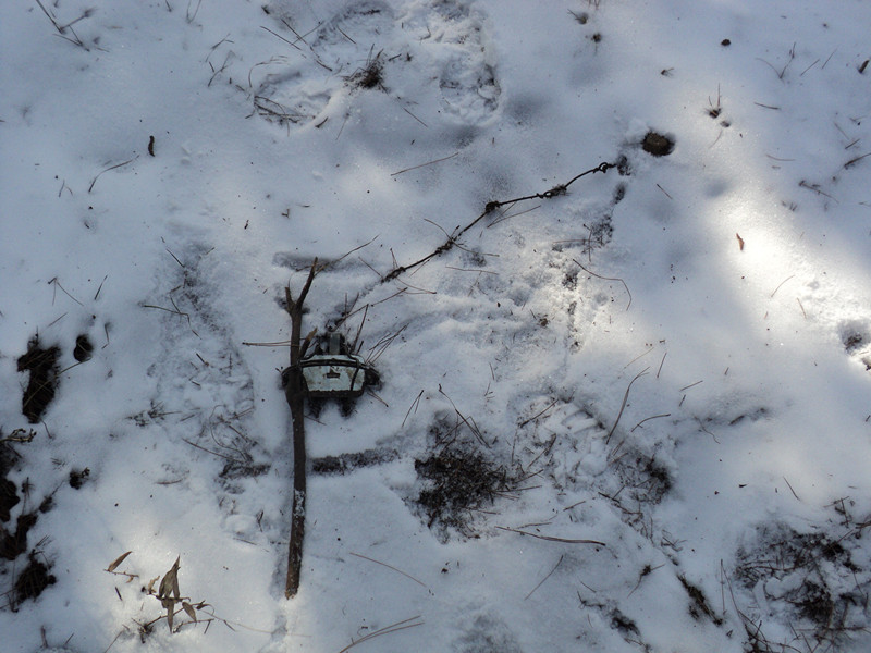 dsc07033_.jpg