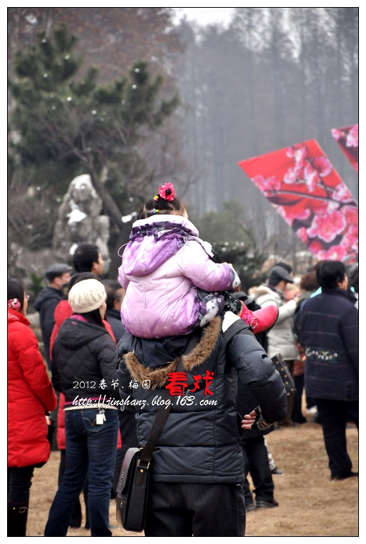 neo_img_ppdsc_4263.jpg