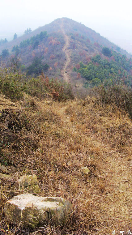 s73f1221.jpg