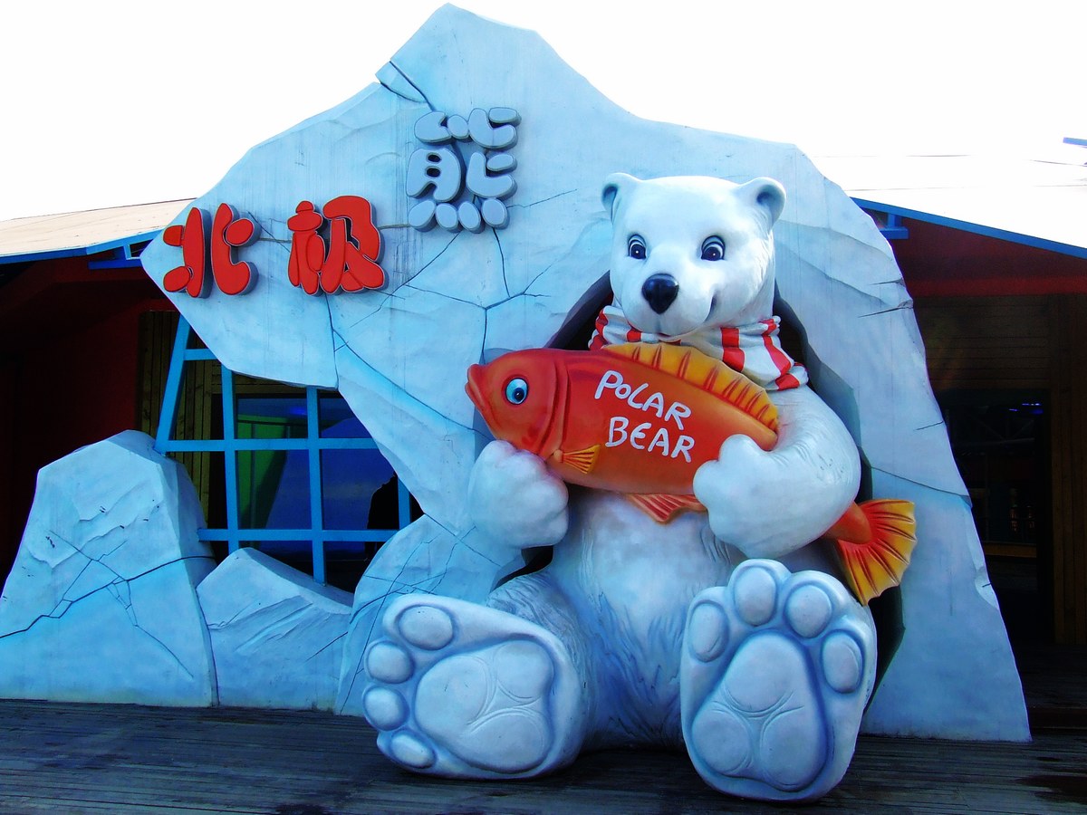 dscf7109.jpg