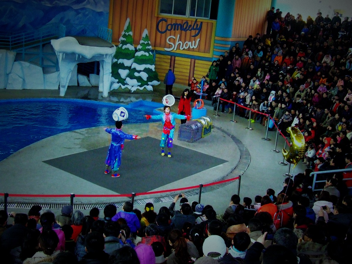 dscf7153.jpg