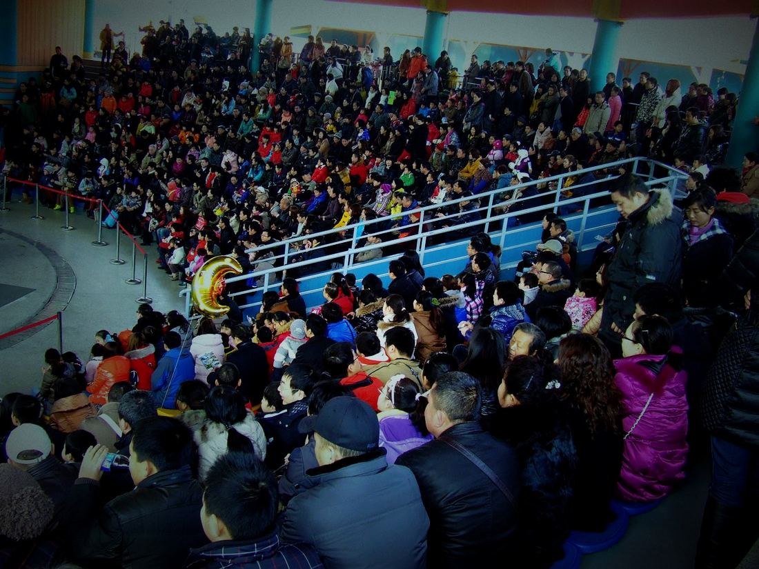 dscf7137.jpg