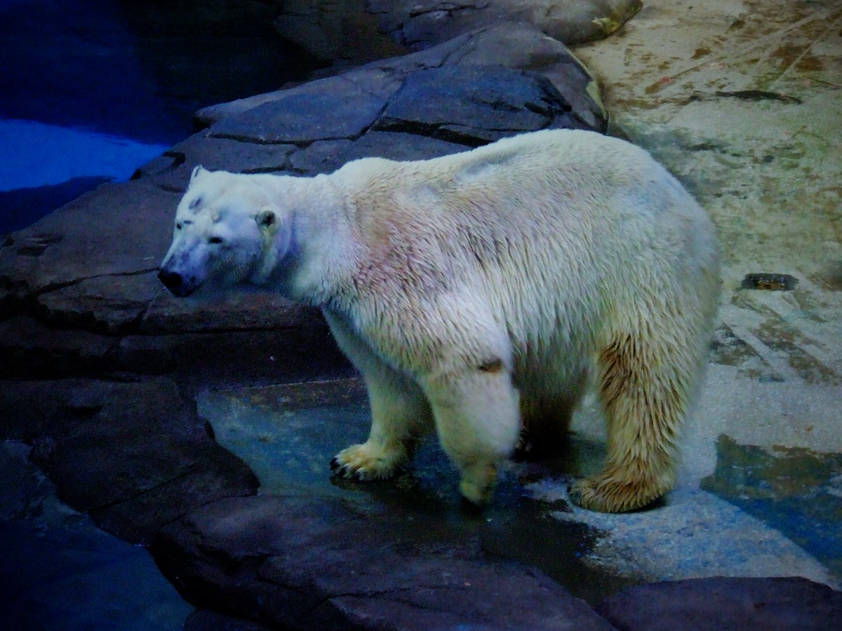 dscf7167.jpg