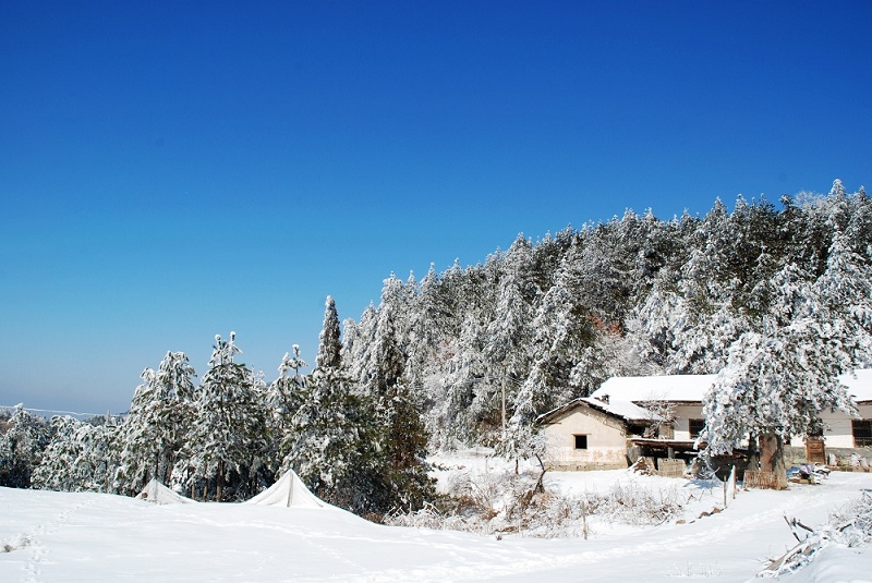 dsc_0012.jpg