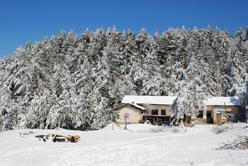 dsc_0005.jpg