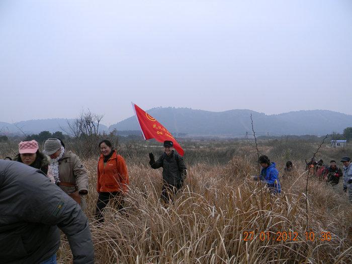 dscn2487.jpg