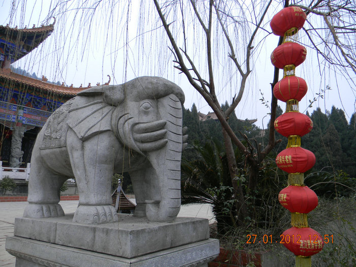 dscn2615.jpg