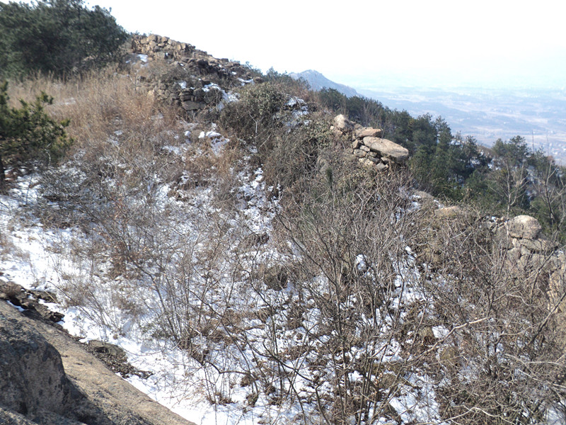 dsc07037_.jpg