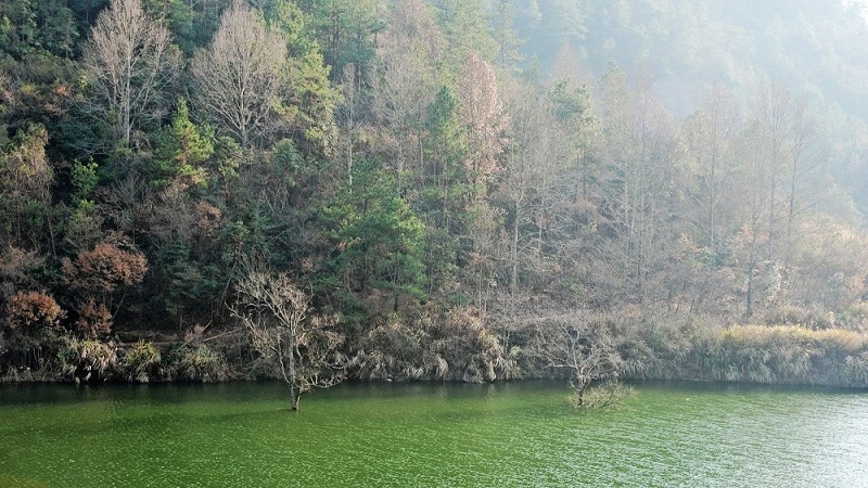 dsc_0014c.jpg