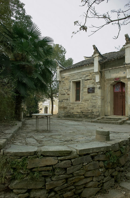 sdim1477.jpg