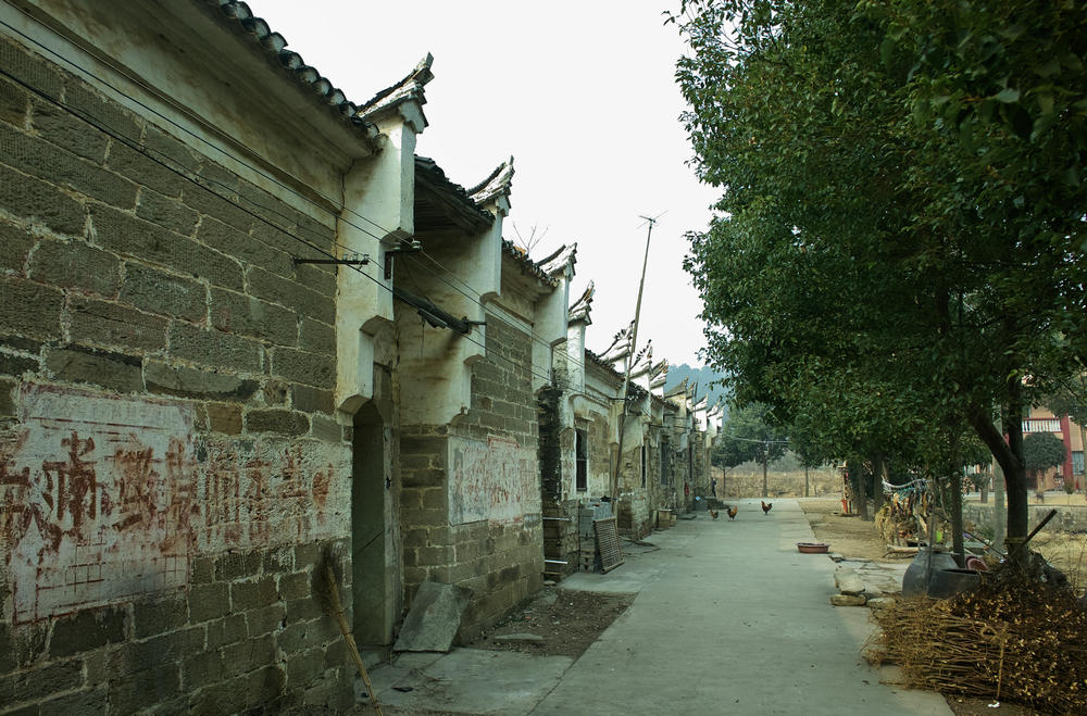 sdim1486.jpg