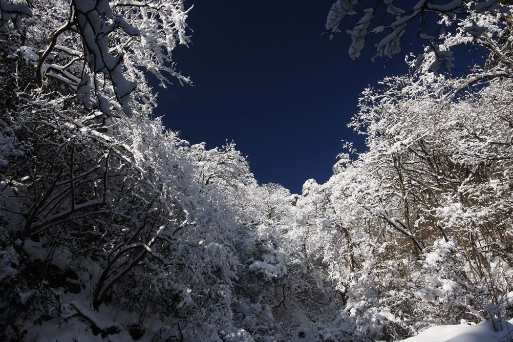 20121282214871087.jpg