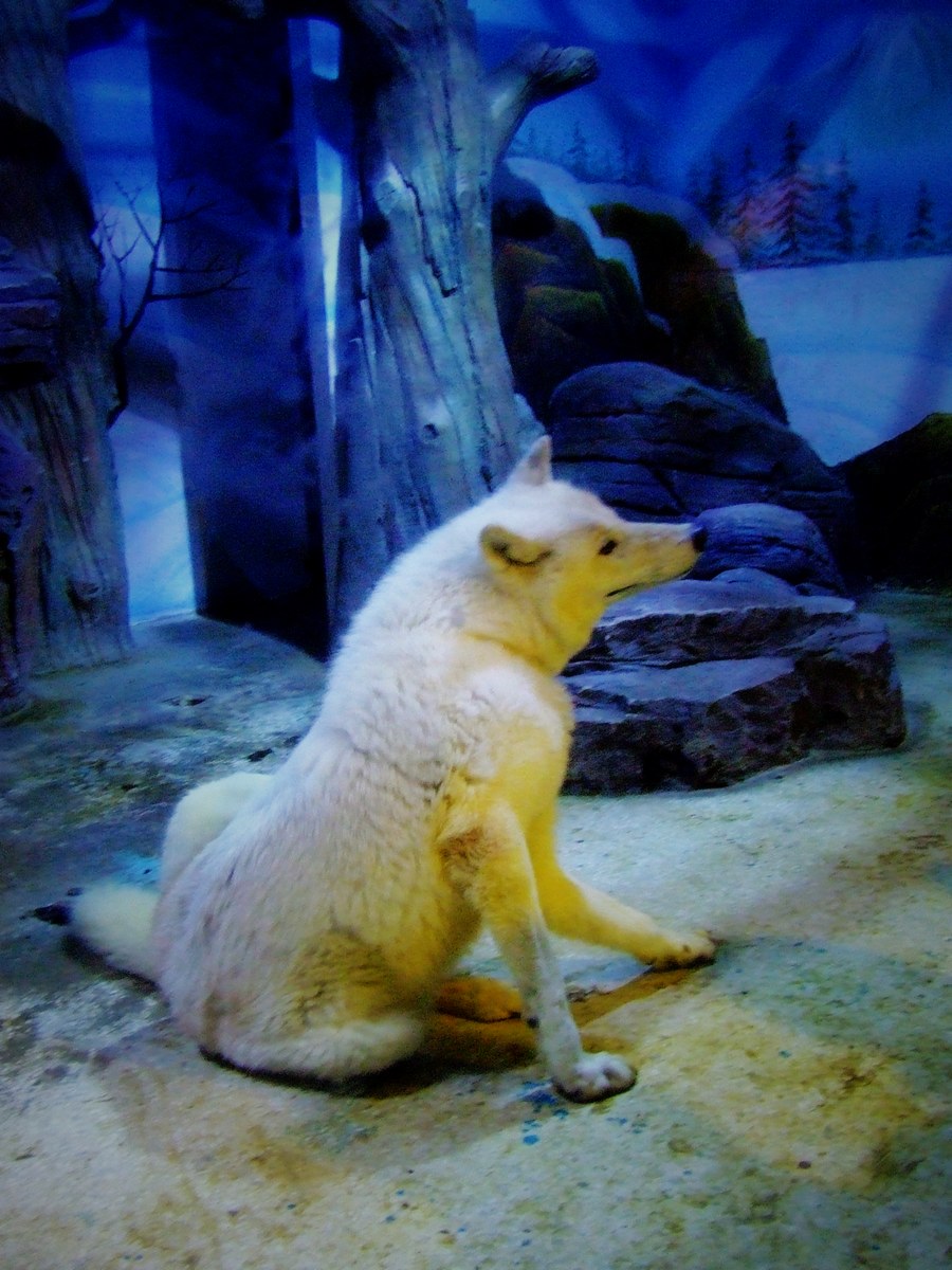 dscf7239.jpg