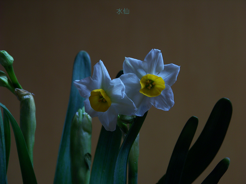 20120125b԰ˮ (11)С.jpg
