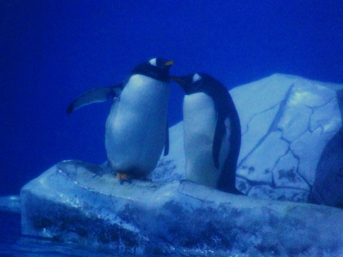 dscf7251.jpg