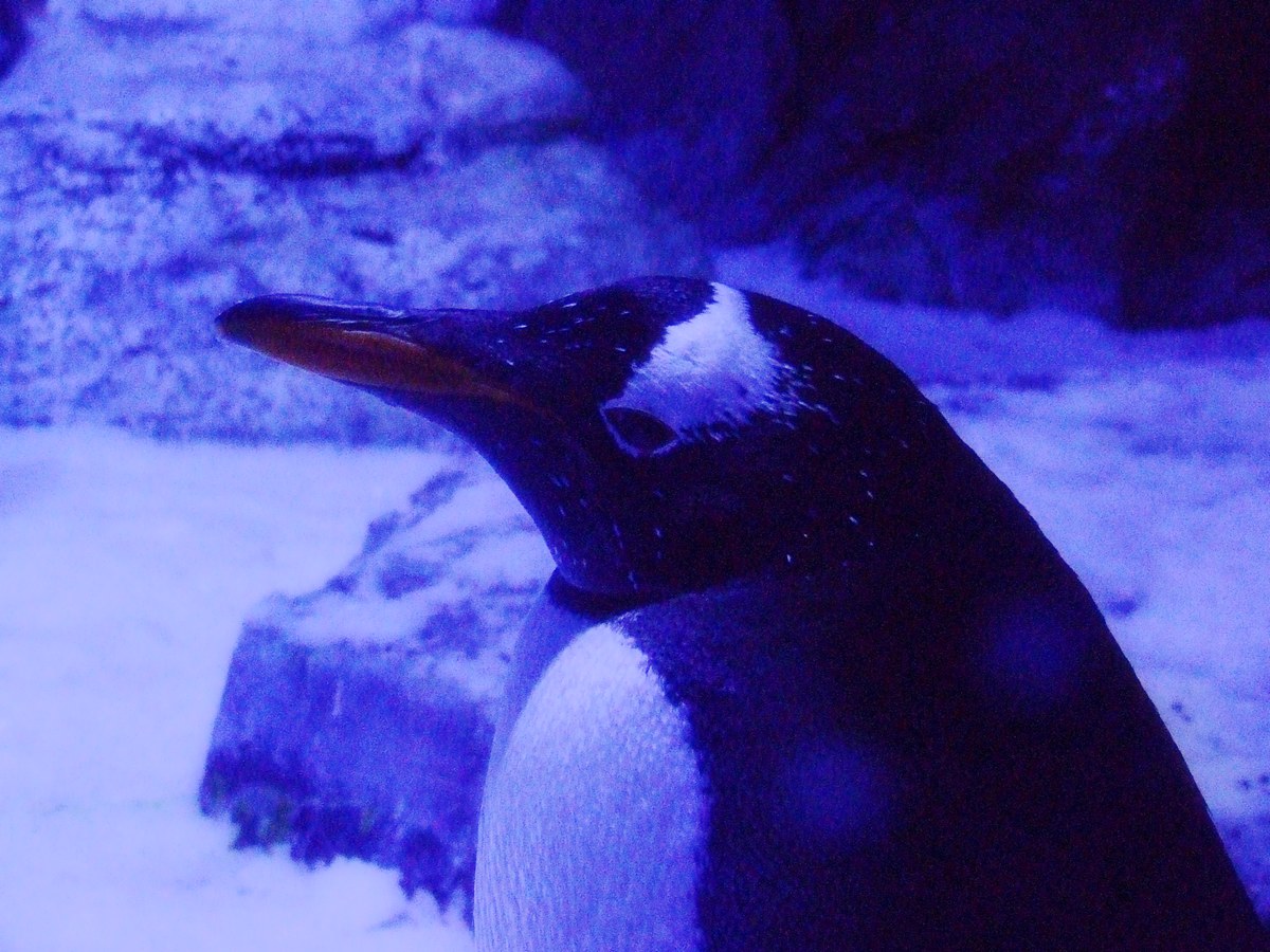 dscf7260.jpg