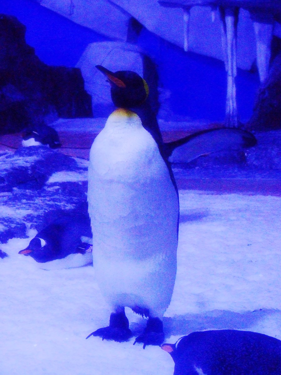 dscf7266.jpg