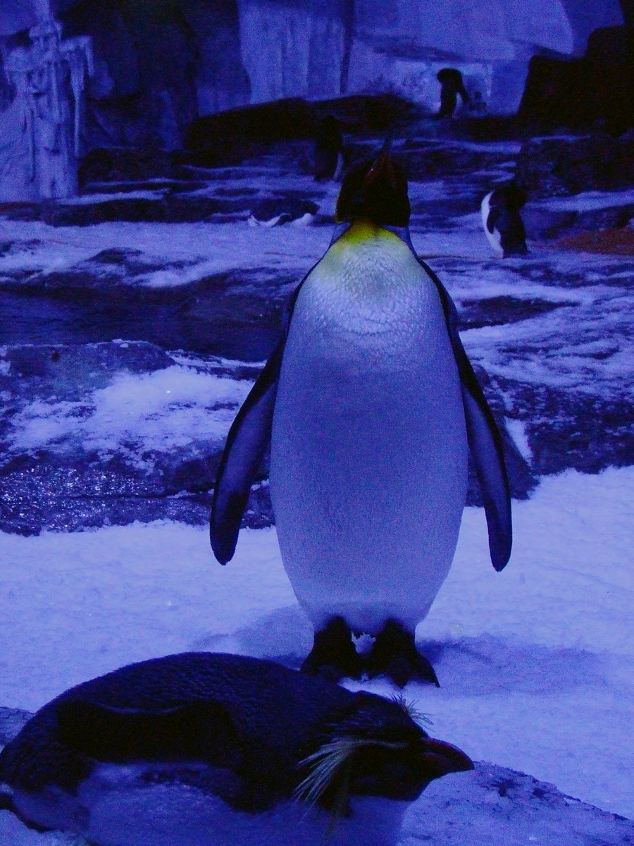 dscf7272.jpg