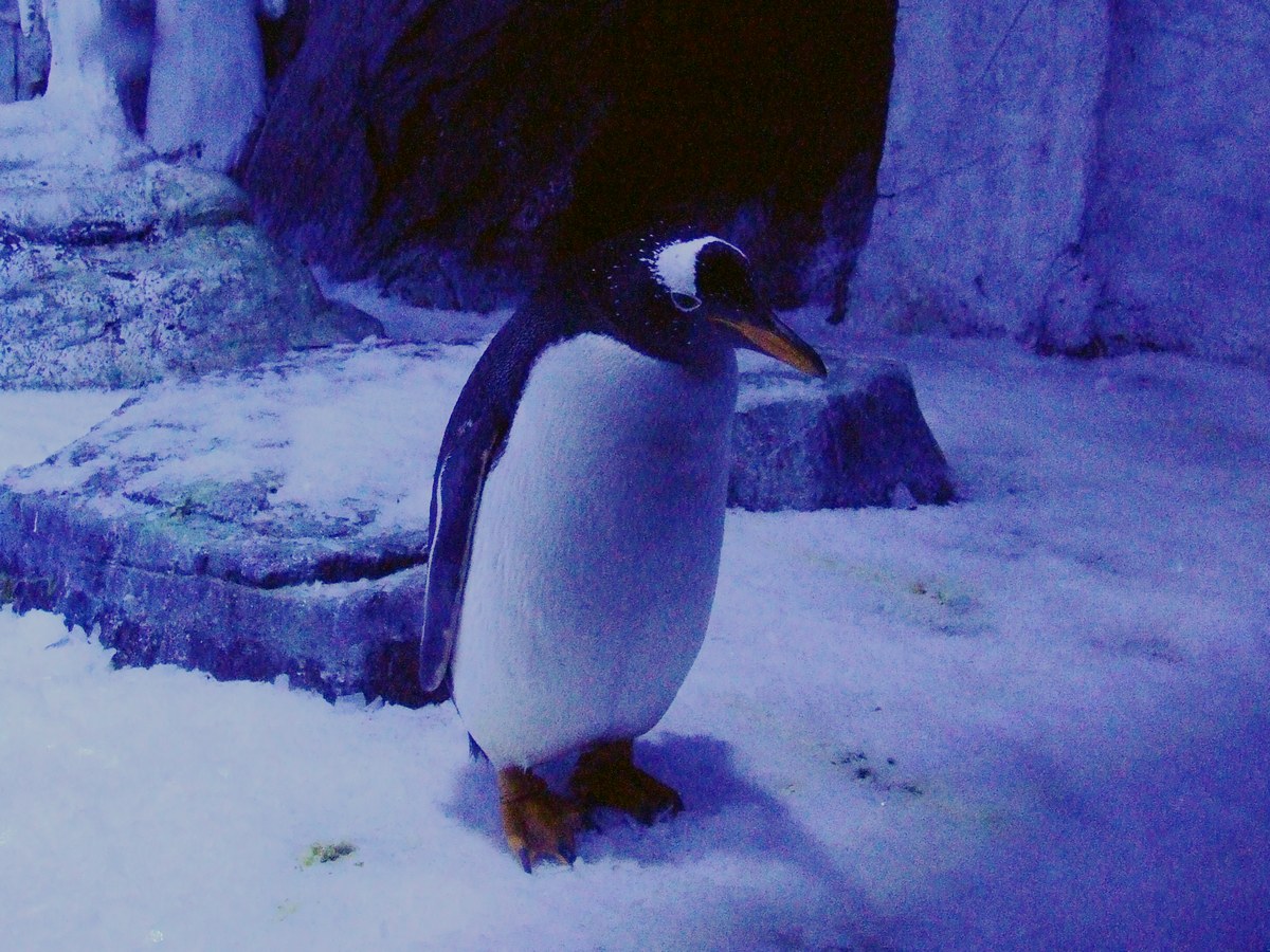 dscf7256.jpg