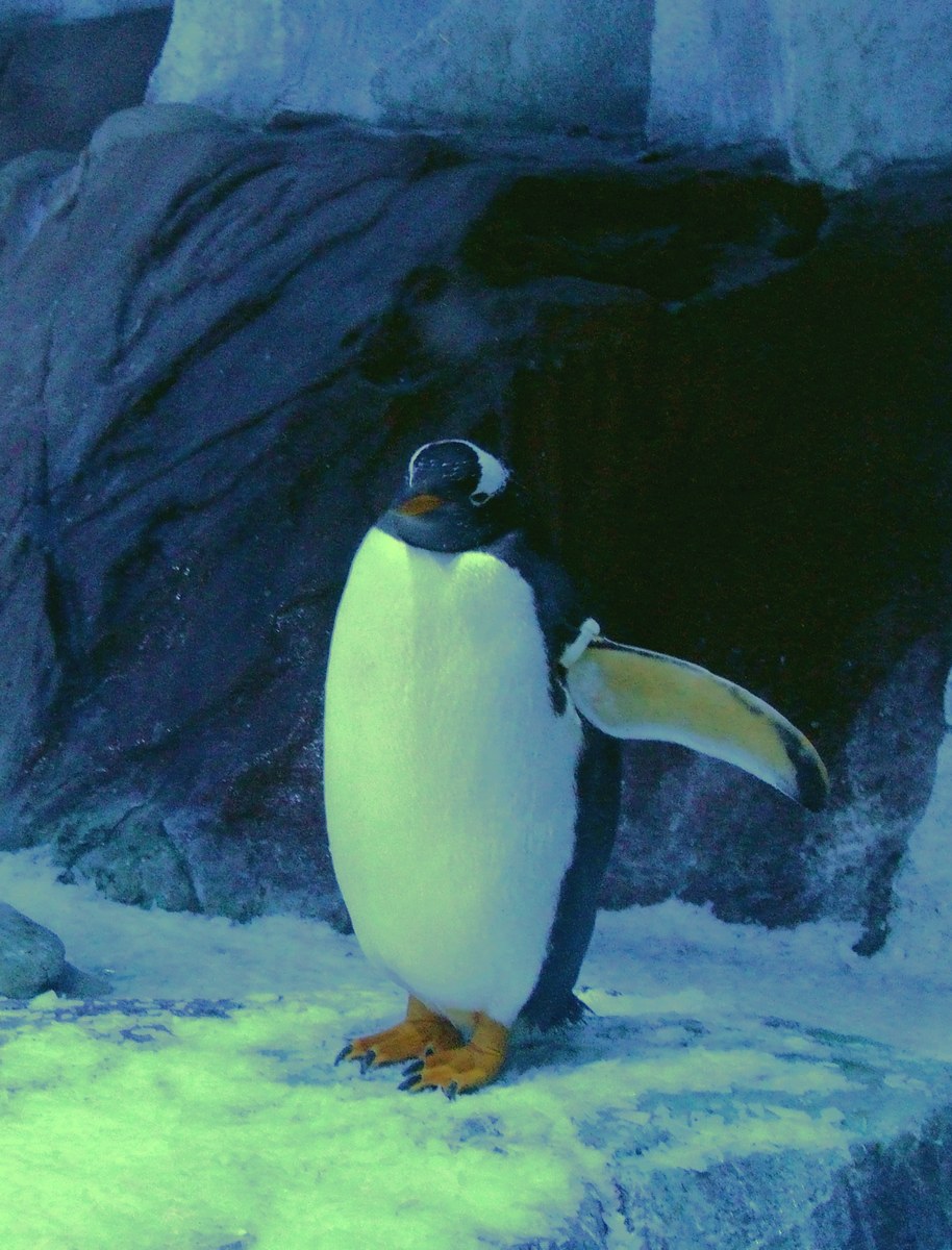 dscf7253.jpg