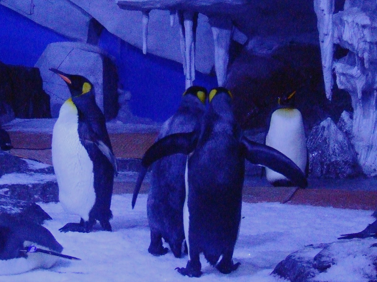 dscf7276.jpg