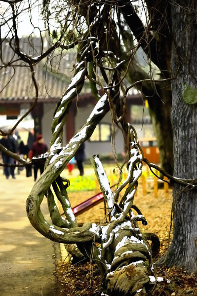 _dsc9862.jpg