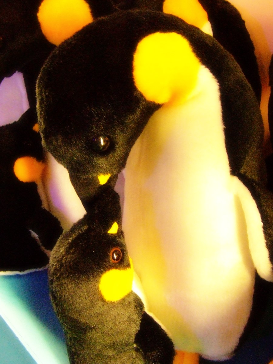 dscf7290.jpg