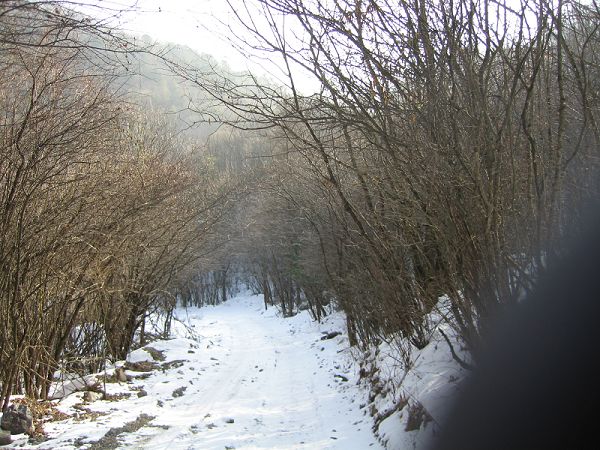 img_5155a.jpg