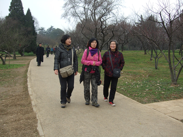 dscf3667.jpg