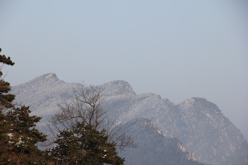img_6529.jpg
