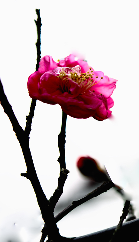 _dsc9888.jpg