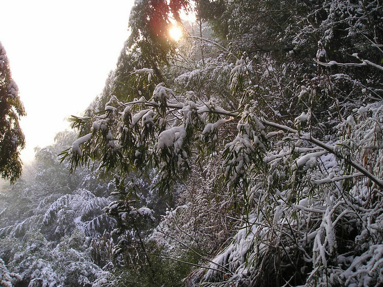 p1010126.jpg