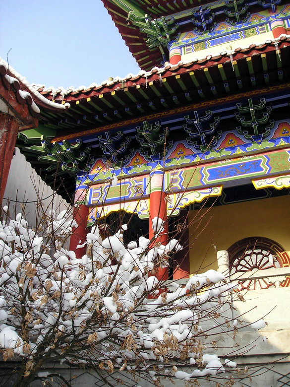 p1010164.jpg